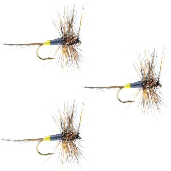 3 Pack Adams Female Classic Dry Fly - Hook Size 12 - Hazy Fly Fishing