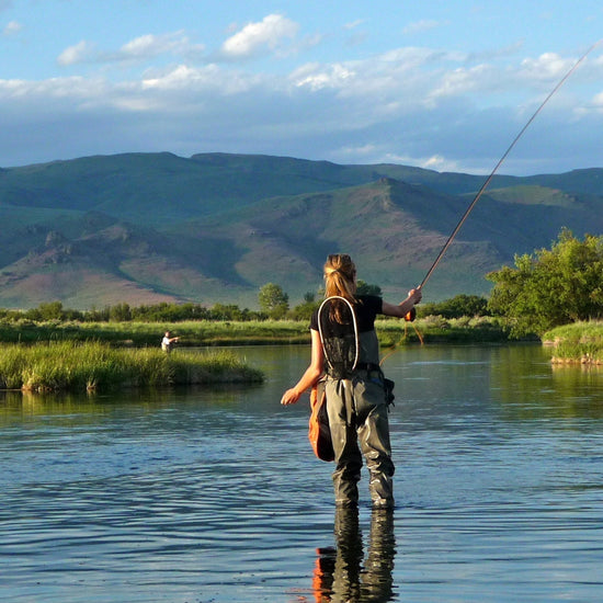 3 Pack Adams Female Classic Dry Fly - Hook Size 16 - Hazy Fly Fishing