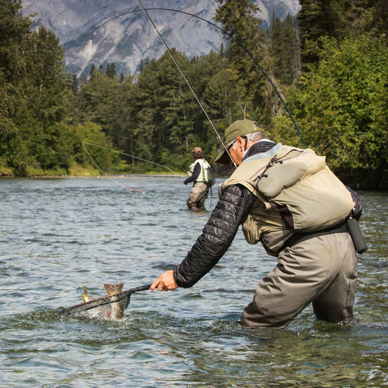 3 Pack Barbless Bead Head Gold Ribbed Hare's Ear Nymph Flies Hook Size 10 - Hazy Fly Fishing