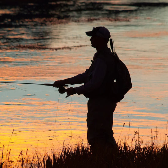 3 Pack Bead Head Flashback Pheasant Tail Nymph Fly Fishing Flies Hook Size 16 - Hazy Fly Fishing