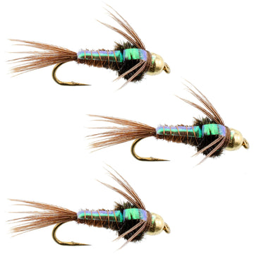 3 Pack Bead Head Flashback Pheasant Tail Nymph Fly Fishing Flies Hook Size 16 - Hazy Fly Fishing
