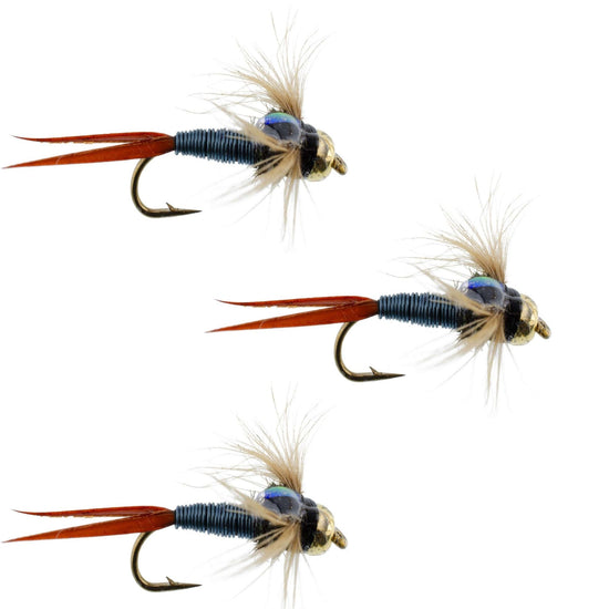3 Pack Bead Head Metallic Blue Copper John Nymph - Fly Fishing Flies - Hook Size 10 - Hazy Fly Fishing