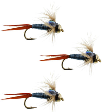 3 Pack Bead Head Metallic Blue Copper John Nymph - Fly Fishing Flies - Hook Size 10 - Hazy Fly Fishing