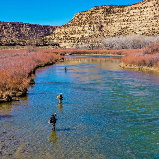 3 Pack Bead Head Pheasant Tail Nymph Hook Size 10 Fly Fishing Flies - Hazy Fly Fishing