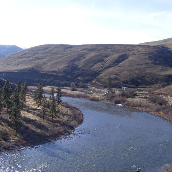 3 Pack Blue Wing Olive BWO Classic Dry Fly - Hook Size 20 - Hazy Fly Fishing
