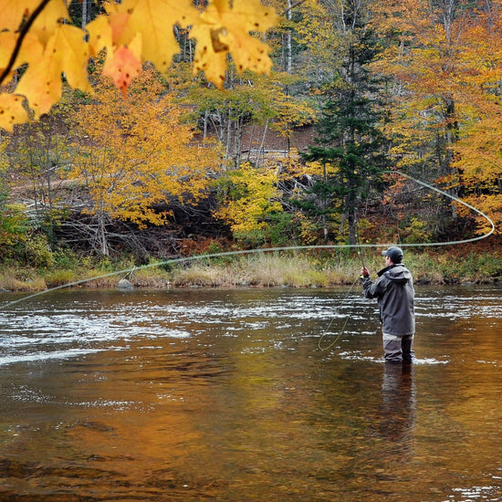 3 Pack Blue Wing Olive BWO Classic Dry Fly - Hook Size 20 - Hazy Fly Fishing