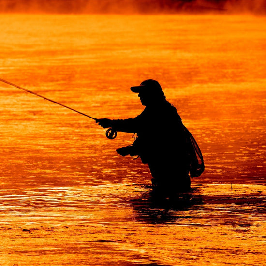 3 Pack Cone Head Muddler Minnow Trout and Bass Streamer Fly - Hook Size 2 - Hazy Fly Fishing