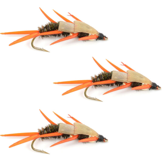 3 Pack Double Bead Peacock Stonefly Nymph with Amber Biot Legs Fly Fishing Flies - Trout and Bass Wet Fly Pattern - Hook Size 14 - Hazy Fly Fishing