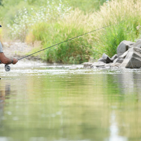 3 Pack Flash Back Tungsten Bead Head Prince Nymph Fly Fishing Flies - Hook Size 12 - Hazy Fly Fishing