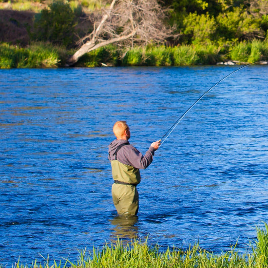 3 Pack Goddard Caddis Black Dry Fly - Hook Size 14 - Hazy Fly Fishing