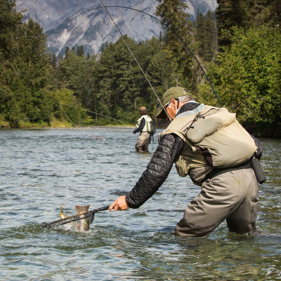 3 Pack Gold Bead Head Flash Back Gold Ribbed Hare's Ear Nymph Fly Fishing Flies Hook Size 18 - Hazy Fly Fishing