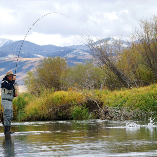 3 Pack Kaufmann's Royal Crystal Stimulator Rubber Legs Dry Fly - Hook Size 14 - Hazy Fly Fishing