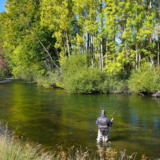 3 Pack Mantis BLT Foam Body Grasshopper Fly - Hook Size 10 - Hazy Fly Fishing
