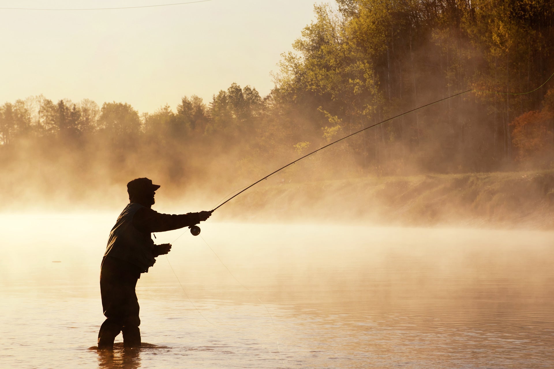 3 Pack Mantis BLT Foam Body Grasshopper Fly - Hook Size 10 - Hazy Fly Fishing