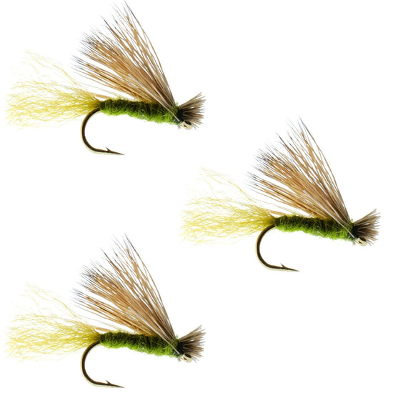 3 Pack Olive X Caddis Emerging Caddis Adult Trout Dry Fly - Hook Size 14 - Hazy Fly Fishing