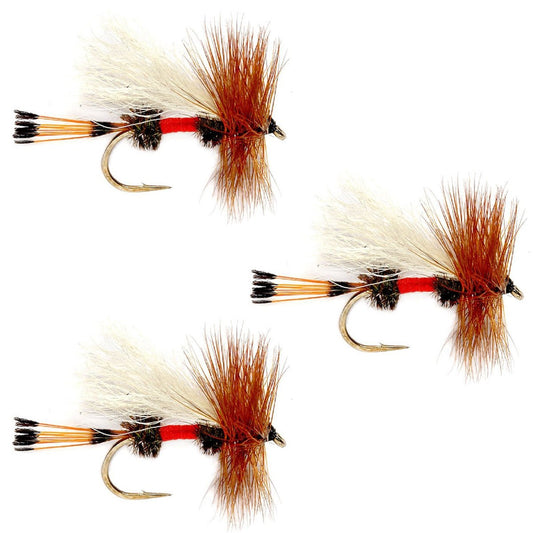 3 Pack Royal Trude Classic Hair Wing Dry Fly - Hook Size 12 - Hazy Fly Fishing