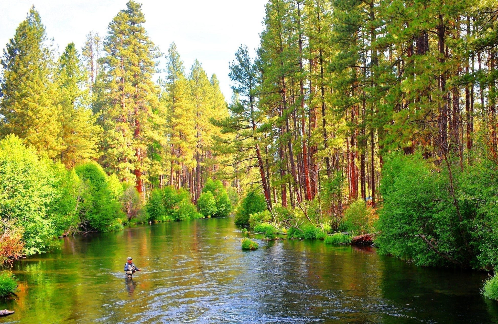 3 Pack Tungsten Bead Soft Hackle Pheasant Tail Tactical Jig Czech Nymph Euro Nymphing Fly - Hook Size 16 - Hazy Fly Fishing