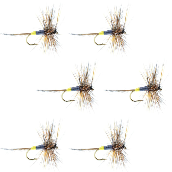 Adams Female Classic Dry Fly - 6 Flies - Hook Size 12 - Hazy Fly Fishing