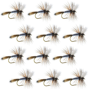 Adams Wulff Classic Dry Fly 1 Dozen Flies Hook Size 12 - Hazy Fly Fishing