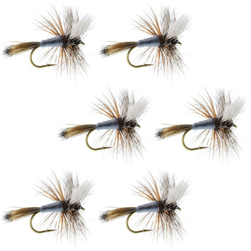 Adams Wulff Classic Dry Fly - 6 Flies - Hook Size 10 - Hazy Fly Fishing