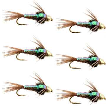 Barbless Bead Head Flashback Pheasant Tail Nymph Fly 6 Flies Hook Size 16 - Hazy Fly Fishing