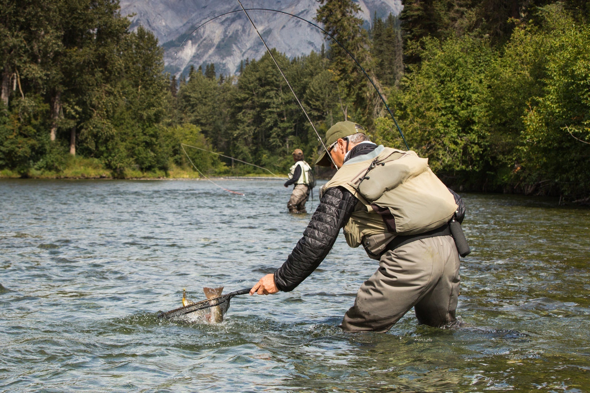 Barbless Bead Head Gold Ribbed Hare's Ear Nymph 6 Flies Hook Size 12 - Hazy Fly Fishing
