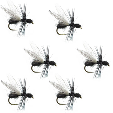 Barbless Black Fur Flying Ant Terrestrial Trout Dry Fly Fishing Flies - 6 Flies Hook Size 14 - Hazy Fly Fishing