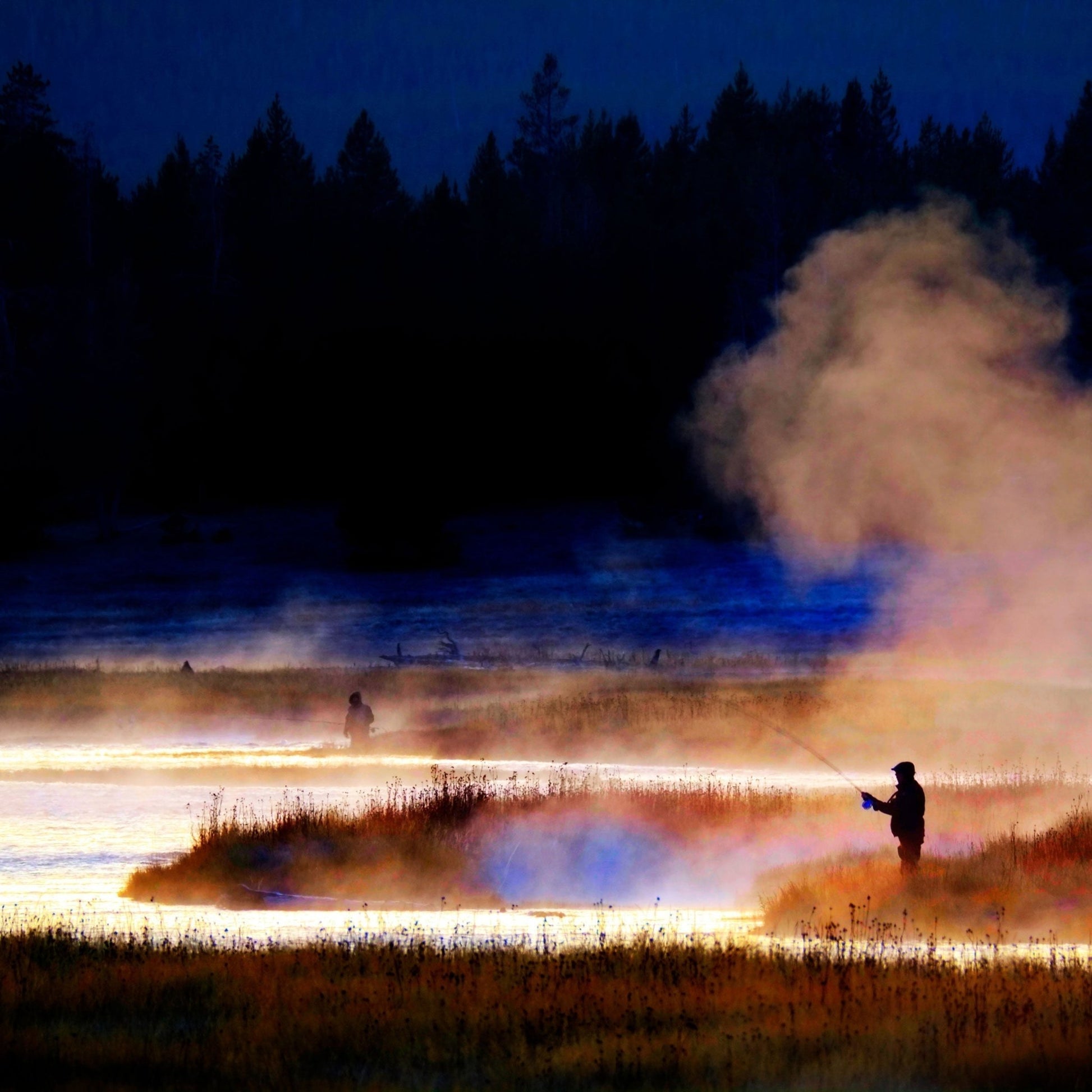 Barbless Griffiths Gnat Midge Trout Dry Fly Fishing Flies - 6 Flies Size 20 - Hazy Fly Fishing