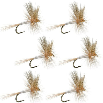 Barbless Light Cahill Classic Trout Dry Fly Fishing Flies - Set of 6 Flies Size 16 - Hazy Fly Fishing