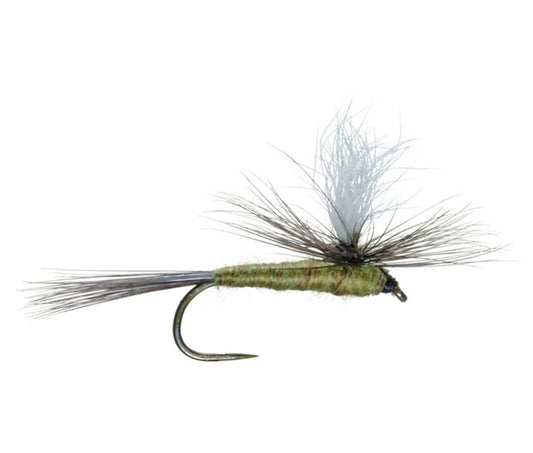 Barbless Parachute Blue Winged Olive BWO Classic Trout Dry Fly Fishing Flies - Set of 6 Flies Size 18 - Hazy Fly Fishing