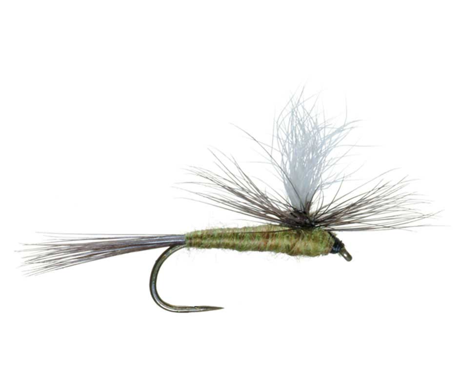 Barbless Parachute Blue Winged Olive BWO Classic Trout Dry Fly Fishing Flies - Set of 6 Flies Size 20 - Hazy Fly Fishing