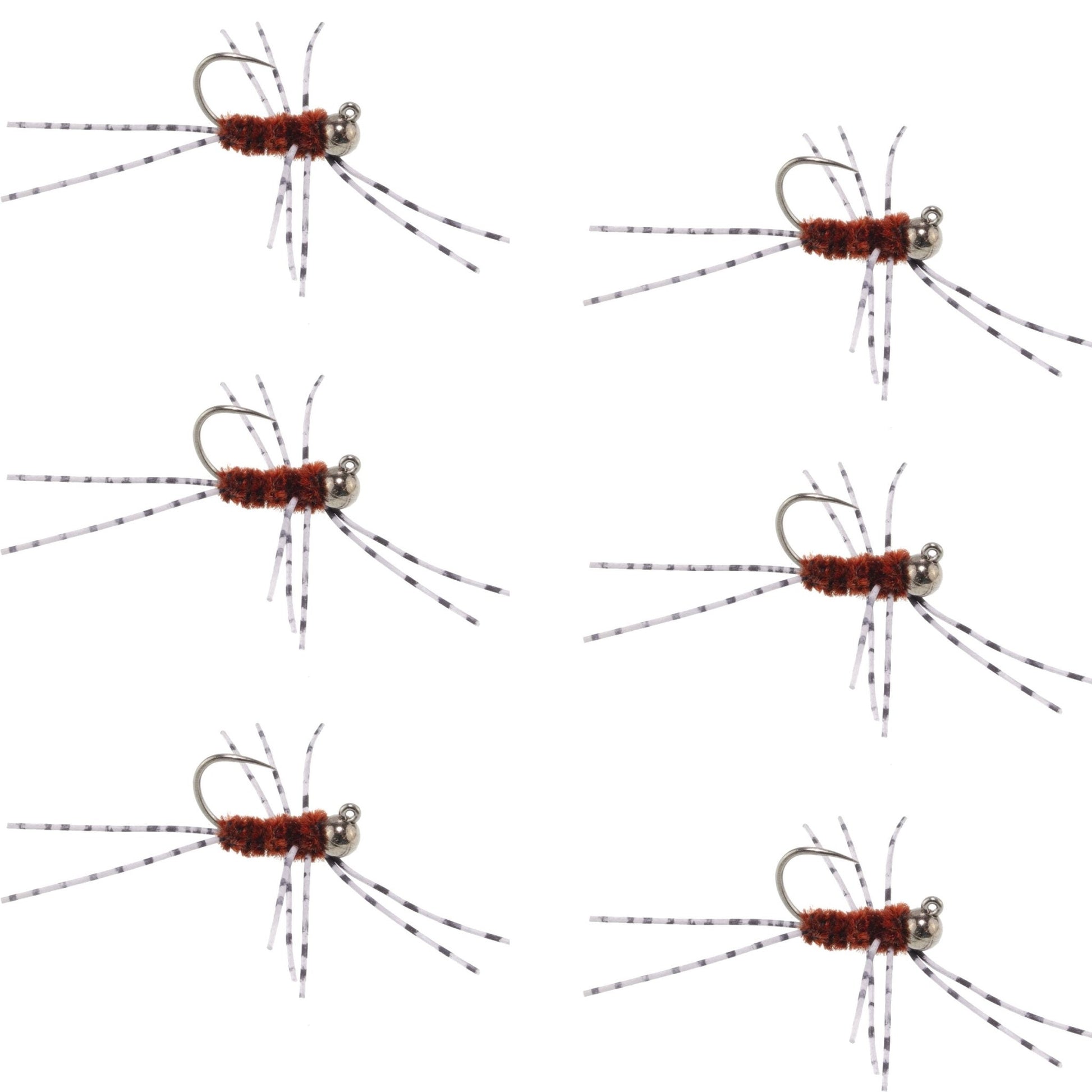 Barbless Pat's Barred Rubber Legs Tungsten Bead Jigged Brown Euro Nymph - Set of 6 Flies Hook Size 6 - Hazy Fly Fishing