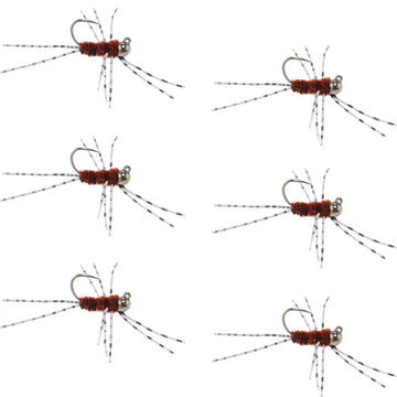 Barbless Pat's Barred Rubber Legs Tungsten Bead Jigged Brown Euro Nymph - Set of 6 Flies Hook Size 6 - Hazy Fly Fishing