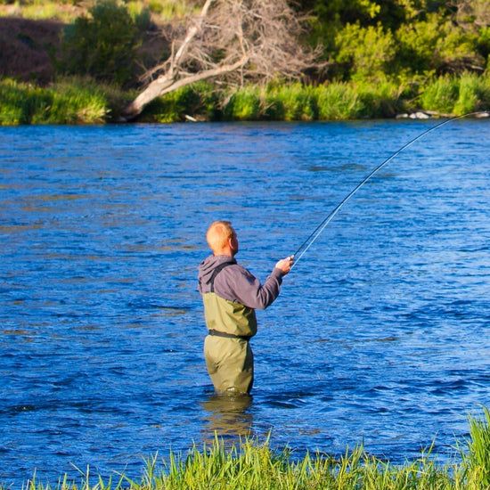 Barbless Pat's Rubber Legs Tungsten Bead Jigged Brown Euro Nymph - Set of 12 Flies Hook Size 10 - Hazy Fly Fishing