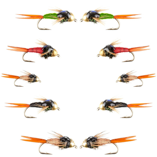 Basics Collection - Bead Head Copper John Assortment - 10 Wet Flies - 5 Patterns - Hook Sizes 14, 16, 18 - Hazy Fly Fishing