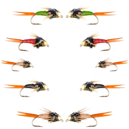 Basics Collection - Bead Head Copper John Assortment - 10 Wet Flies - 5 Patterns - Hook Sizes 14, 16, 18 - Hazy Fly Fishing