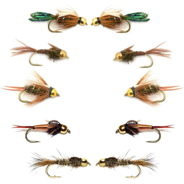 Basics Collection - Bead Head Nymph Assortment - 10 Wet Flies - 5 Patterns - Hook Sizes 12, 14, 16 - Hazy Fly Fishing