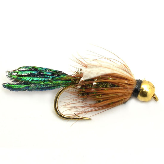 Basics Collection - Bead Head Nymph Assortment - 10 Wet Flies - 5 Patterns - Hook Sizes 12, 14, 16 - Hazy Fly Fishing