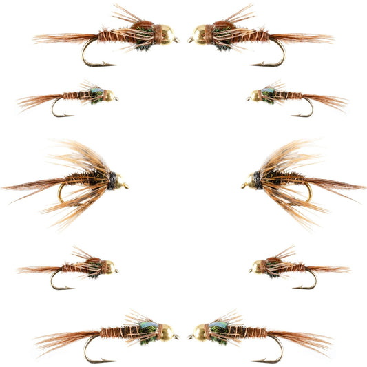 Basics Collection - Bead Head Pheasant Tail Nymph Assortment - 10 Wet Flies - Hook Sizes 14, 16, 18 - Hazy Fly Fishing