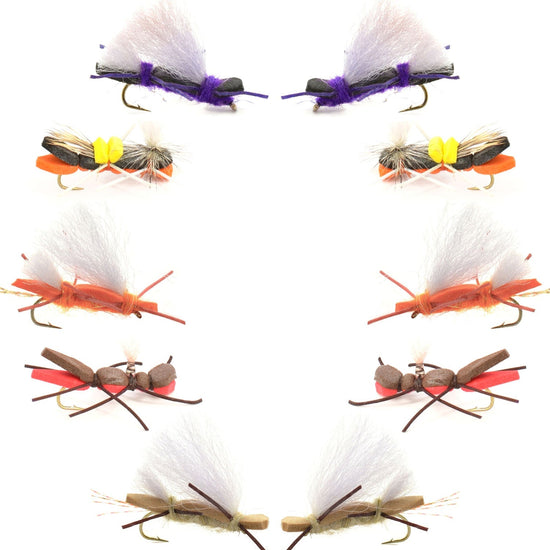Basics Collection - Chernobyl Ant Foam Dry Fly Assortment - 10 Dry Fishing Grasshopper Flies - 5 Patterns - Hook Size 10 - Hazy Fly Fishing