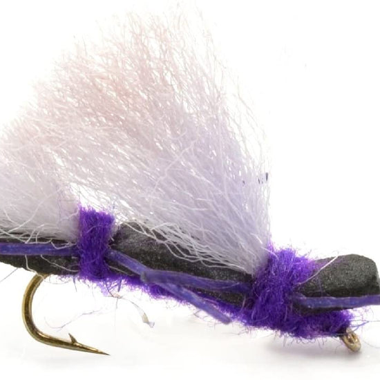 Basics Collection - Chernobyl Ant Foam Dry Fly Assortment - 10 Dry Fishing Grasshopper Flies - 5 Patterns - Hook Size 10 - Hazy Fly Fishing