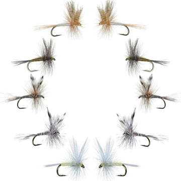 Basics Collection - Classic Dry Fly Assortment - 10 Dry Fishing Flies - 5 Patterns - Hook Sizes 12, 14, 16 - Hazy Fly Fishing