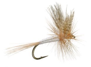 Basics Collection - Classic Dry Fly Assortment - 10 Dry Fishing Flies - 5 Patterns - Hook Sizes 12, 14, 16 - Hazy Fly Fishing