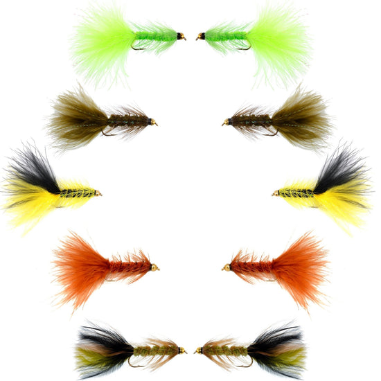 Basics Collection - Crystal Woolly Bugger Assortment - 10 Bead Head Wet Flies - 5 Patterns - Hook Size 8 - Hazy Fly Fishing