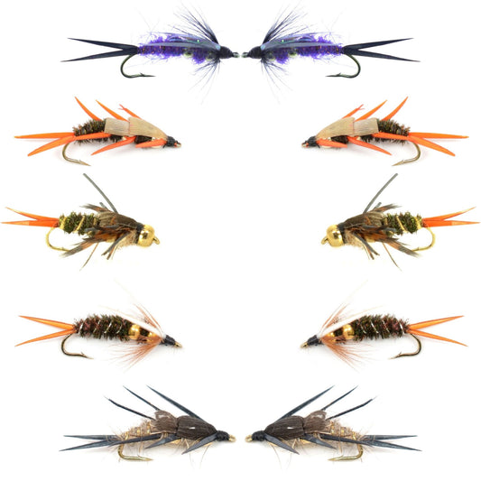 Basics Collection - Double Bead Head Nymph Assortment - 10 Wet Flies - 5 Patterns - Hook Size 12 - Hazy Fly Fishing