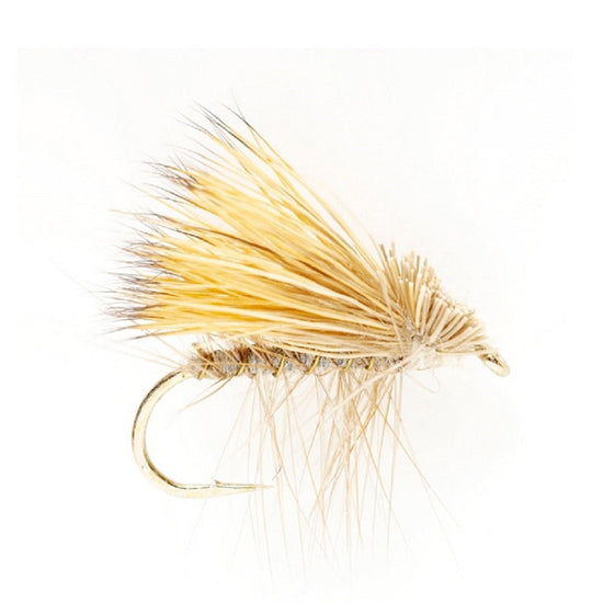 Basics Collection - Elk Hair Caddis Dry Fly Assortment - 10 Dry Fishing Flies - 5 Patterns - Hook Sizes 12, 14, 16, 18 - Hazy Fly Fishing
