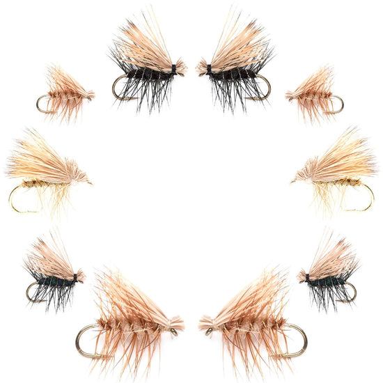 Basics Collection - Elk Hair Caddis Dry Fly Assortment - 10 Dry Fishing Flies - 5 Patterns - Hook Sizes 12, 14, 16, 18 - Hazy Fly Fishing
