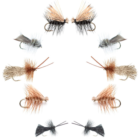 Basics Collection - Essential Caddis Dry Fly Assortment - 10 Dry Fishing Flies - 5 Patterns - Hook Sizes 12, 14, 16, 18 - Hazy Fly Fishing