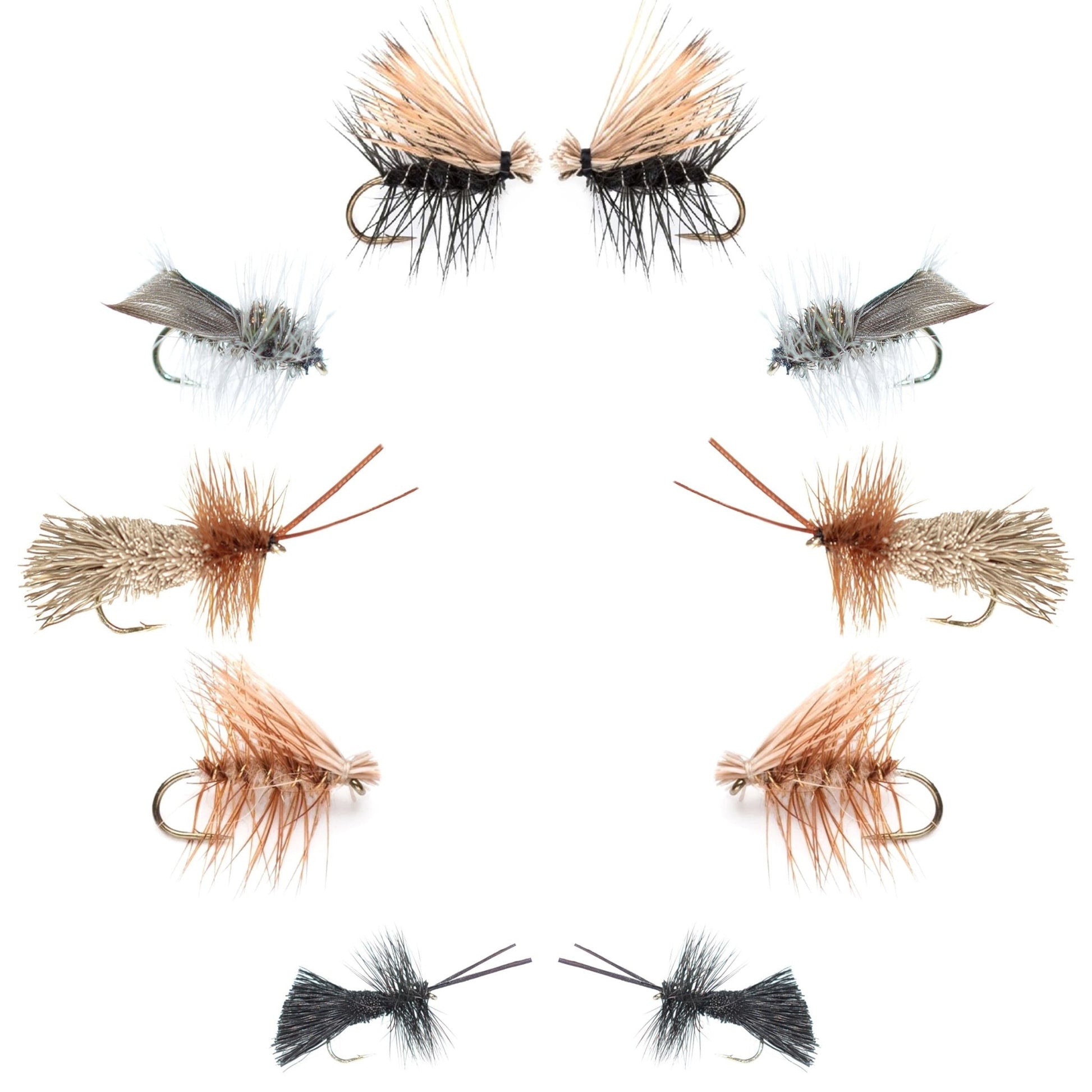 Basics Collection - Essential Caddis Dry Fly Assortment - 10 Dry Fishing Flies - 5 Patterns - Hook Sizes 12, 14, 16, 18 - Hazy Fly Fishing