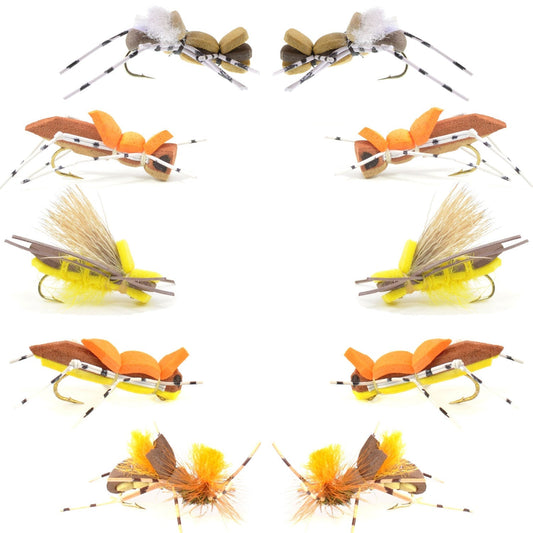 Basics Collection - Foam Hoppers Dry Fly Assortment - 10 Dry Fishing Grasshopper Flies - 5 Patterns - Hook Size 10 - Hazy Fly Fishing